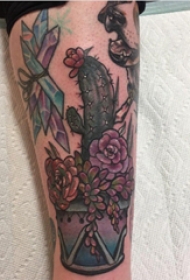 仙人掌纹身 女生小腿上多肉植物和仙人掌纹身图片
