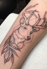 麋鹿纹身图片 女生手臂上植物和麋鹿纹身图片