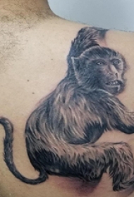 纹身猴子 男生后背上黑色的猴子纹身图片