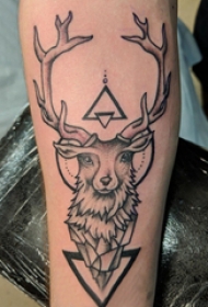 手臂纹身素材 男生手臂上三角形和鹿纹身图片