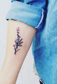 小清新植物纹身 女生手臂上简单的植物纹身图片