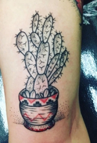 植物纹身 女生大腿上彩色的仙人掌纹身图片