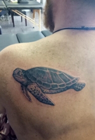 纹身后背男 男生后背上黑色的海龟纹身图片
