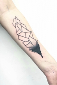 几何元素纹身 女生手臂上黑色的羽毛纹身图片