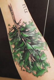 树纹身 女生手臂上彩色的大树纹身图片