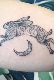 小动物纹身 女生小腿上月亮和兔子纹身图片