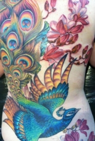 孔雀纹身图片  色彩绚丽多彩的孔雀纹身图案