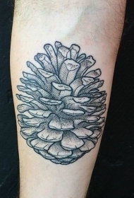 植物纹身   创意而又小巧的松果纹身图案