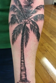 椰树纹身图案 多款小清新文艺纹身素描椰树纹身图案
