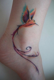 飞鸟纹身图案 漂亮的羽毛飞鸟纹身动物蜂鸟彩绘纹身图案