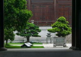 中国风庭院图片(13张)