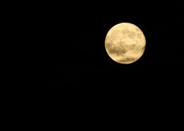 夜空中的月亮图片(13张)