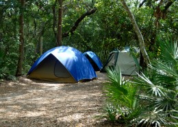 野外露营搭建的帐篷图片