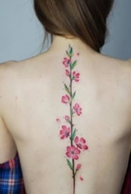 女生后背部脊椎处唯美的小清新纹身图