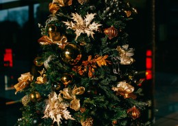 装饰精美的圣诞树图片(1