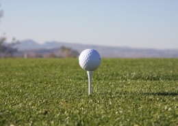 小小的白色高尔夫球图片(10张)