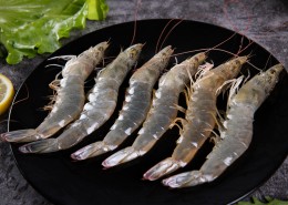 美味新鲜的基围虾图片(17张)