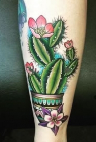 沙漠之花仙人掌的纹身图案9张