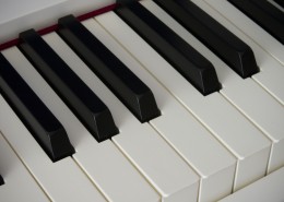 钢琴的黑白键盘图片(15张)