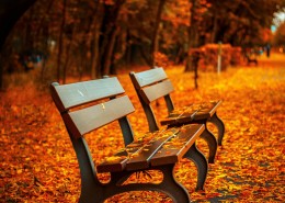 秋天公园里的长椅图片(9张)