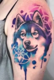 蓝色水彩风格的宠物纹身图案