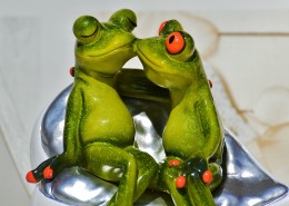 有趣的玩具青蛙图片(14张)