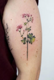 胳膊上小清新风格的小花卉纹身图片9张