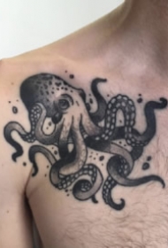 不同风格的一组章鱼纹身图片