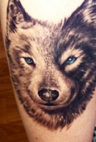 狼纹身    9张凶猛却又残暴的狼纹身图案