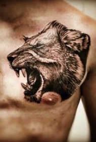 动物纹身图案 身体各个部位的动物纹身图案9张