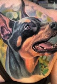小狗纹身   8张霸气生动可爱的小狗纹身图案