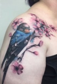 纹身燕子   振翅高飞的漂亮燕子主题纹身图案