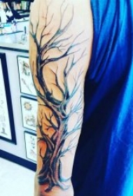树的纹身图案 10张不同形态关于树的纹身图案