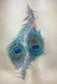 孔雀羽毛纹身 10款十分柔美的孔雀翎纹身图案