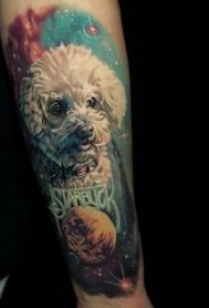纹身图案动物    8张呆萌可爱的宠物纹身图案