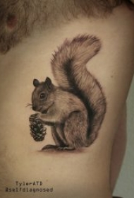 松鼠纹身  9张技巧性十足的呆萌松鼠纹身图案