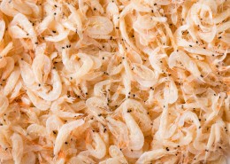 健康营养小虾米图片(8张)