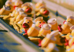 可爱的橡胶玩具鸭图片(8张)