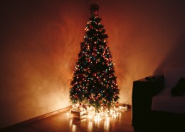 圣诞树的特写图片(14张)