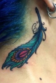 孔雀羽毛纹身 时尚美艳的孔雀羽毛纹身图案