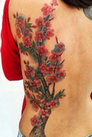 樱花纹身图案 10张优美清新纹身樱花图案