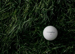 高尔夫球杆和高尔夫球的图片(10张)