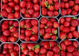 鲜红欲滴的草莓图片(11张)