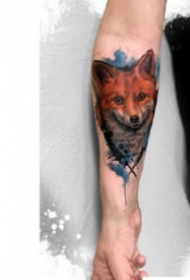 纹身水彩动物 一组水彩风格的动物纹身图片欣赏