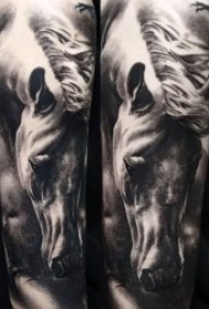 马纹身图案 10款黑灰或彩绘的纹身动物马图案