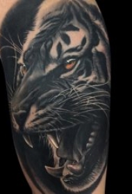 纹身老虎  9款威风勇猛的老虎纹身图案