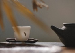 各种款式的茶壶图片(12张)