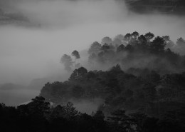 烟雾缭绕的山林图片(10张)
