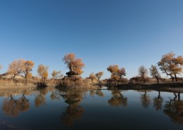 新疆库尔勒罗布泊自然风景图片(8张)