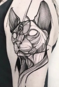 斯芬克斯猫主题的一组猫纹身图片